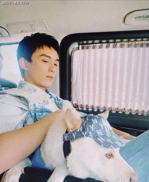 情感爆料娱乐视频,娱乐视频中的喜怒哀乐瞬间 第1张 情感爆料娱乐视频,娱乐视频中的喜怒哀乐瞬间 第1张